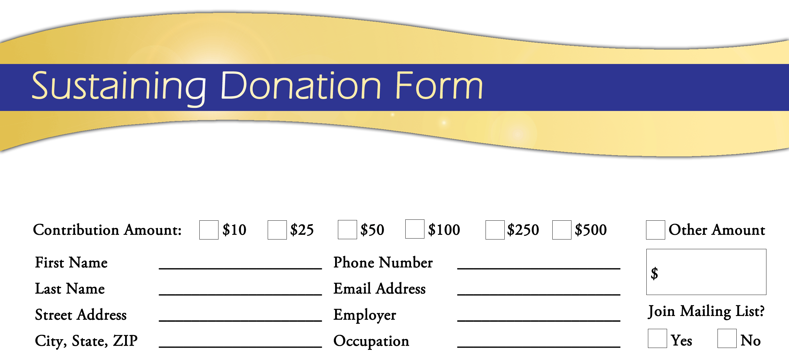 36 Free Donation Form Templates In Word Excel PDF