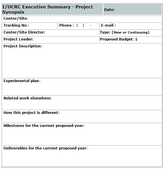 Executive Summary Template 10.941