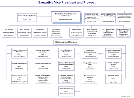 Organization Chart sample 9941