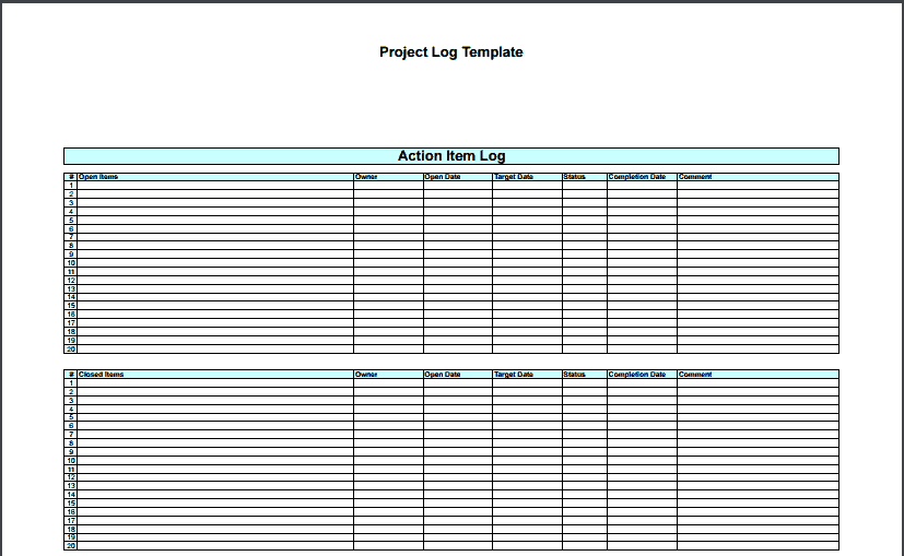 Project Log Template 29641