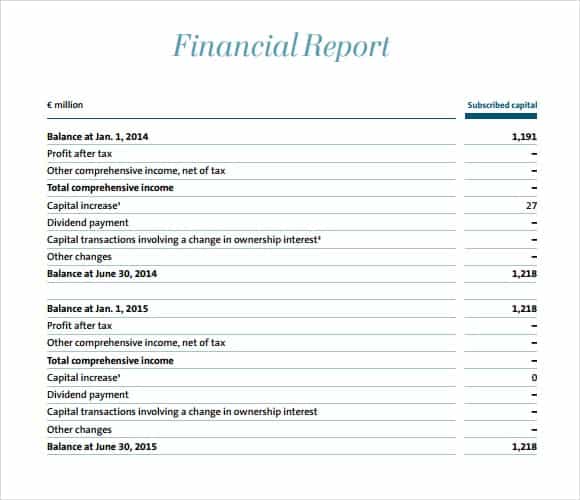 21 Free Financial Report Template Word Excel Formats