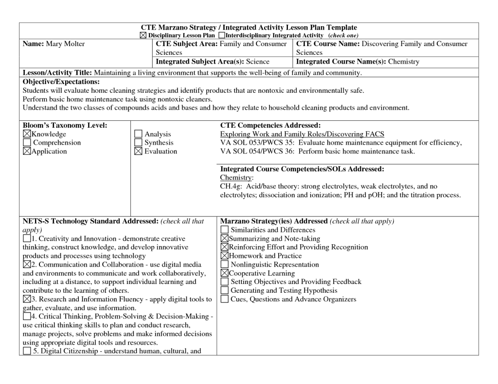 21+ Free 41+ Free Lesson Plan Templates - Word Excel Formats