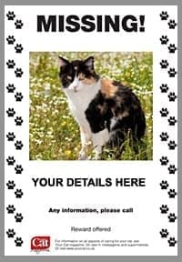 21+ Free Missing Cat Poster Template - Word Excel Formats