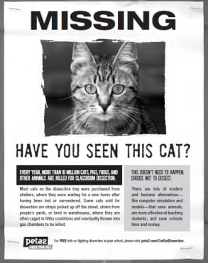 missing poster sample 4964