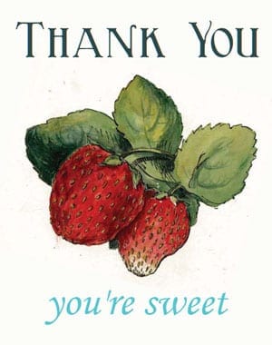 thank you card sample 341