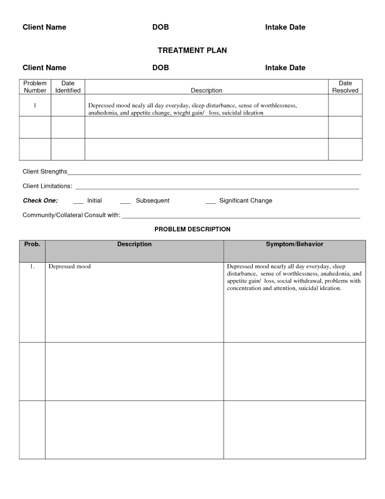 21+ Free 38+ Free Treatment Plan Templates - Word Excel Formats