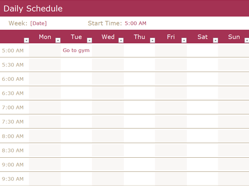 daily schedule sample 4461