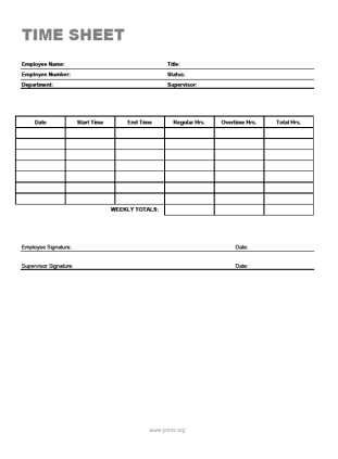 time sheet sample 441